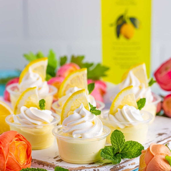 a close up of a flower